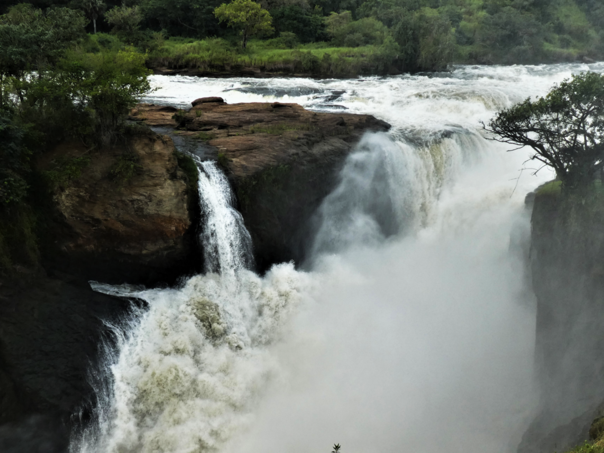 Murchison falls safari